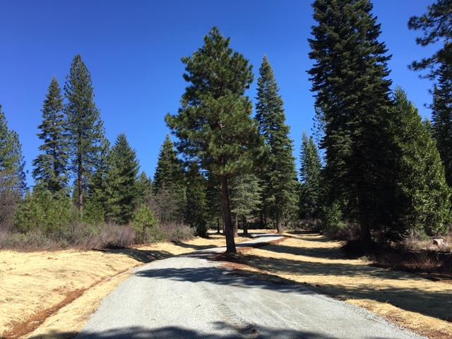 22281 Back Bone Road Nevada City, CA 95959 - Photo 2 of 9