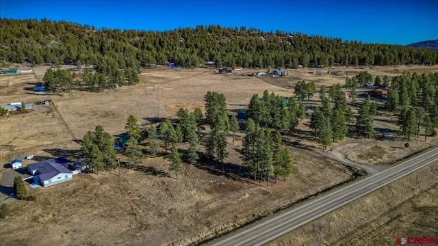 $975,000 | 3000 Highway 84, Pagosa Springs, CO 81147