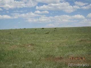 4 Coyote Crest Road Parker, CO 80138 - Photo 6 of 6