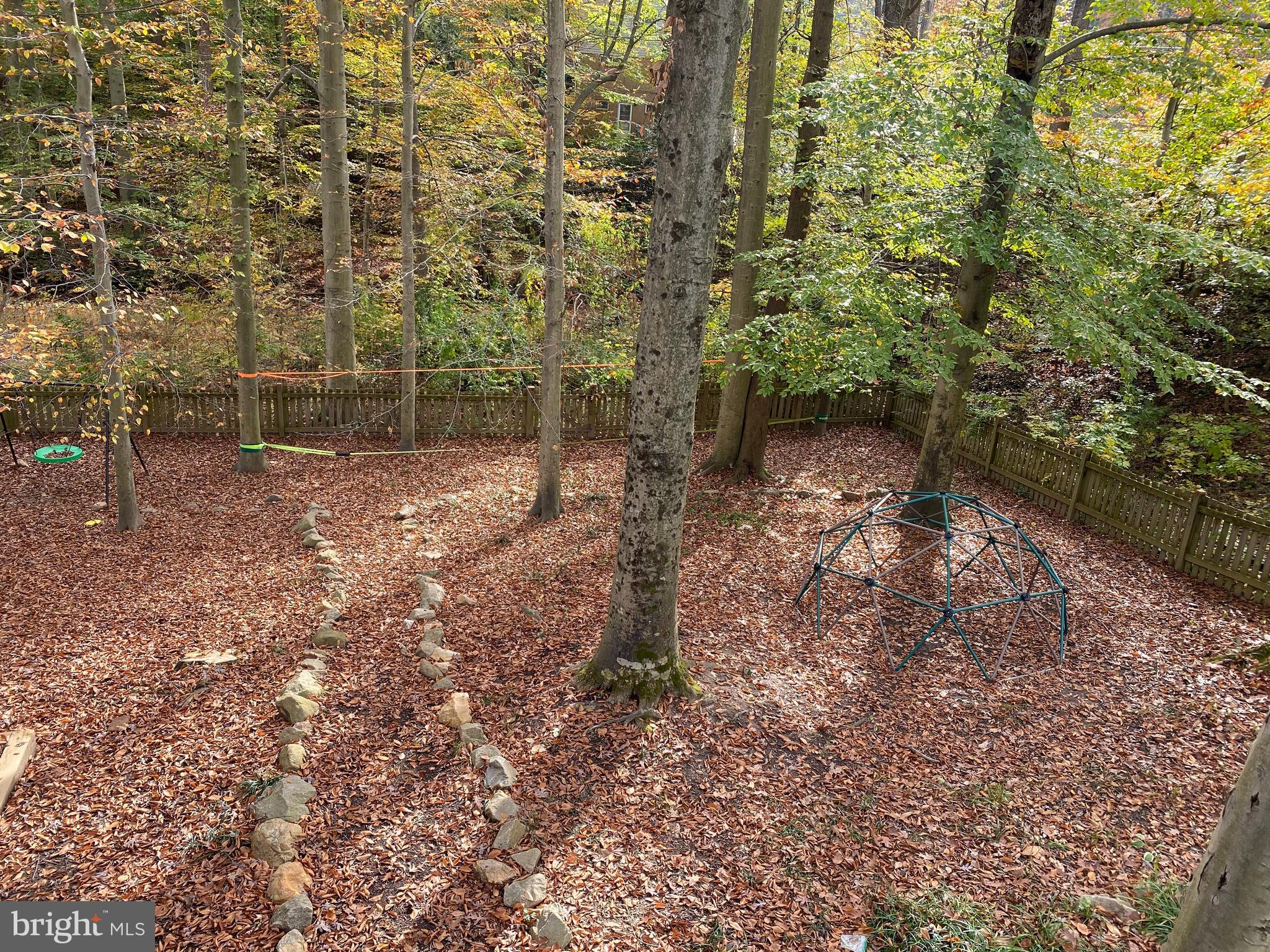 8505 Thames Street Springfield, VA 22151 - Photo 29 of 34 Backyard