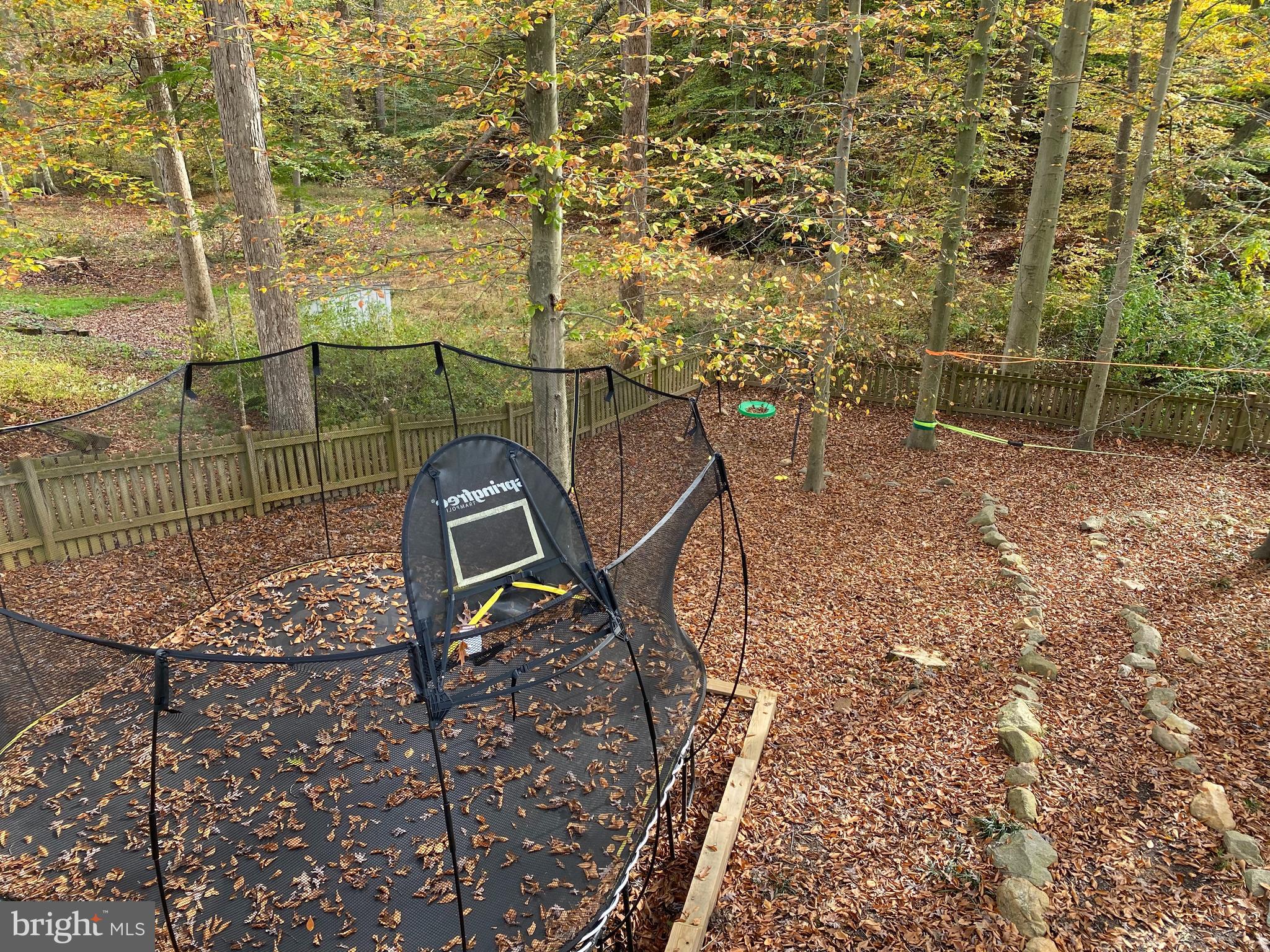 8505 Thames Street Springfield, VA 22151 - Photo 32 of 34 Backyard