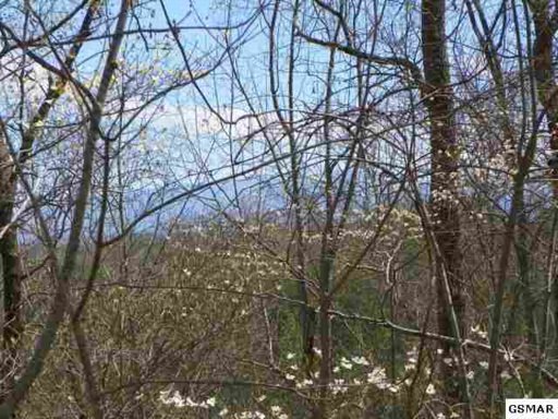 Beech Way Sevierville, TN 37876 - Photo 3 of 8 Additional Photo