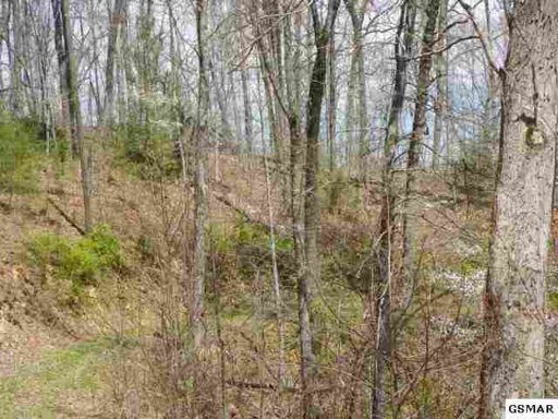 Beech Way Sevierville, TN 37876 - Photo 6 of 8 Additional Photo