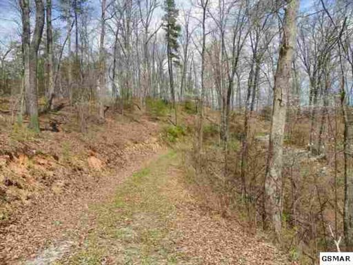 Beech Way Sevierville, TN 37876 - Photo 7 of 8 Additional Photo