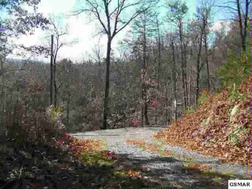 Beech Way Sevierville, TN 37876 - Photo 8 of 8 Additional Photo