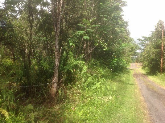898 Oahu Road Pahoa, HI 96778 - Photo 4 of 7 Gallery Image 4