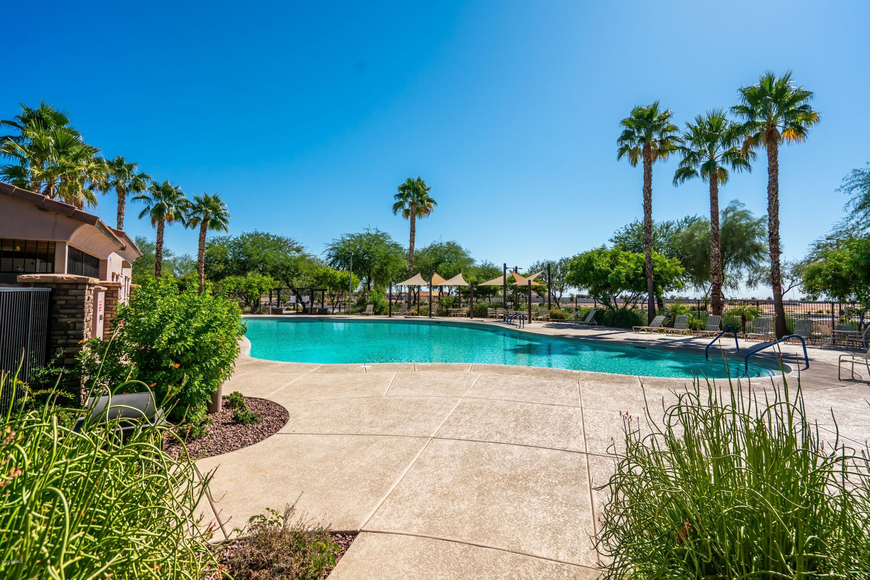 17713 West Red Bird Road Surprise, AZ 85387 - Photo 42 of 45 Desert Oasis Pool 2