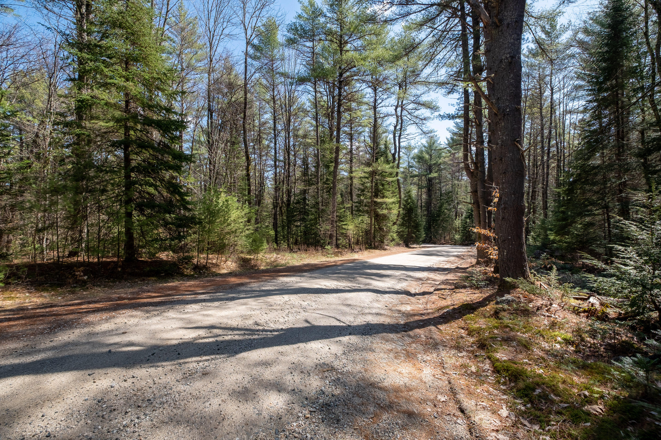 Lot 3 Big Woods Road Harrison, ME 04040 - Photo 6 of 26 Lot 3 Big Woods Rd_Harrison_04