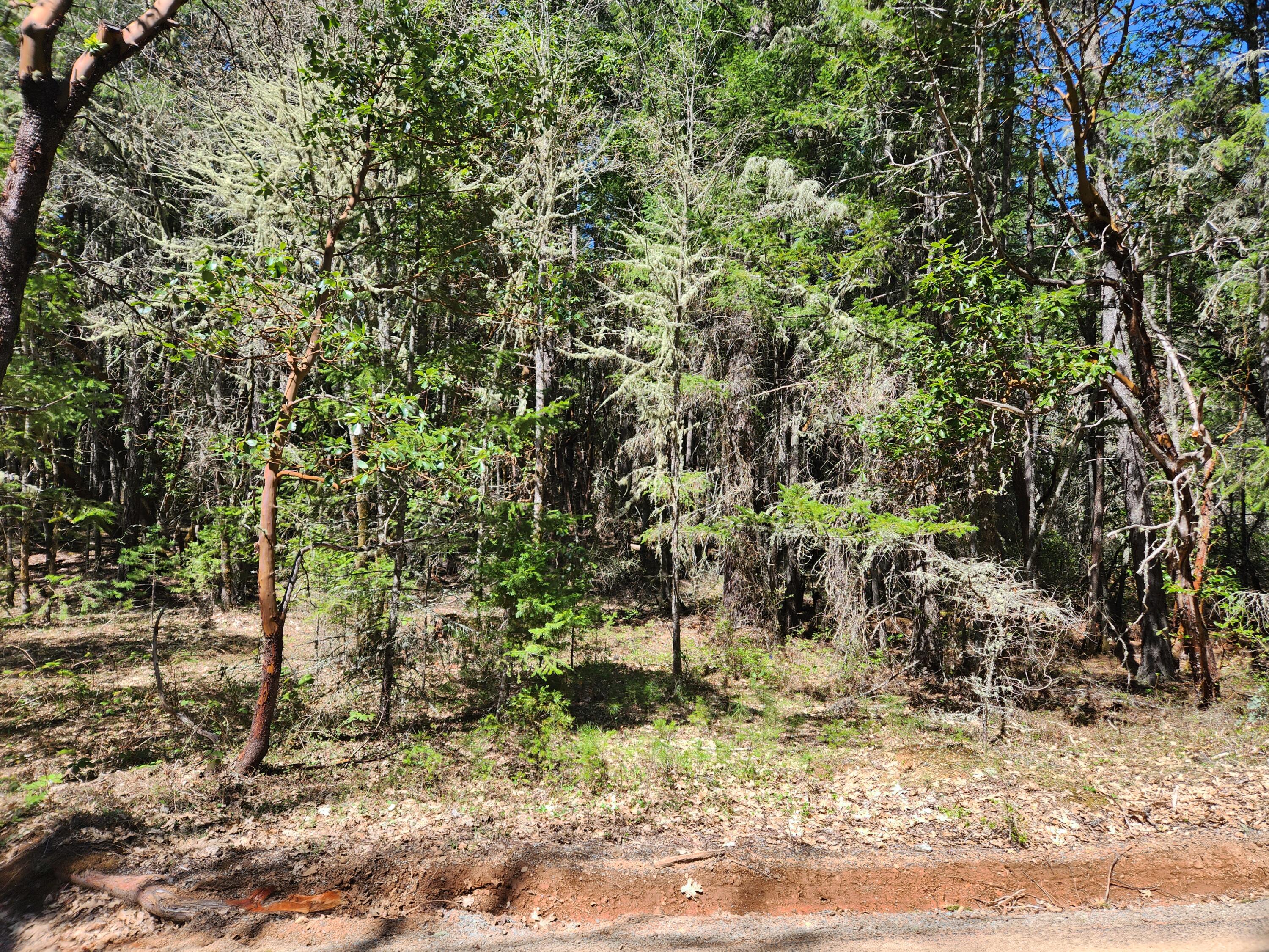 1000 Crooks Creek Road Selma, OR 97538 - Photo 13 of 28 13