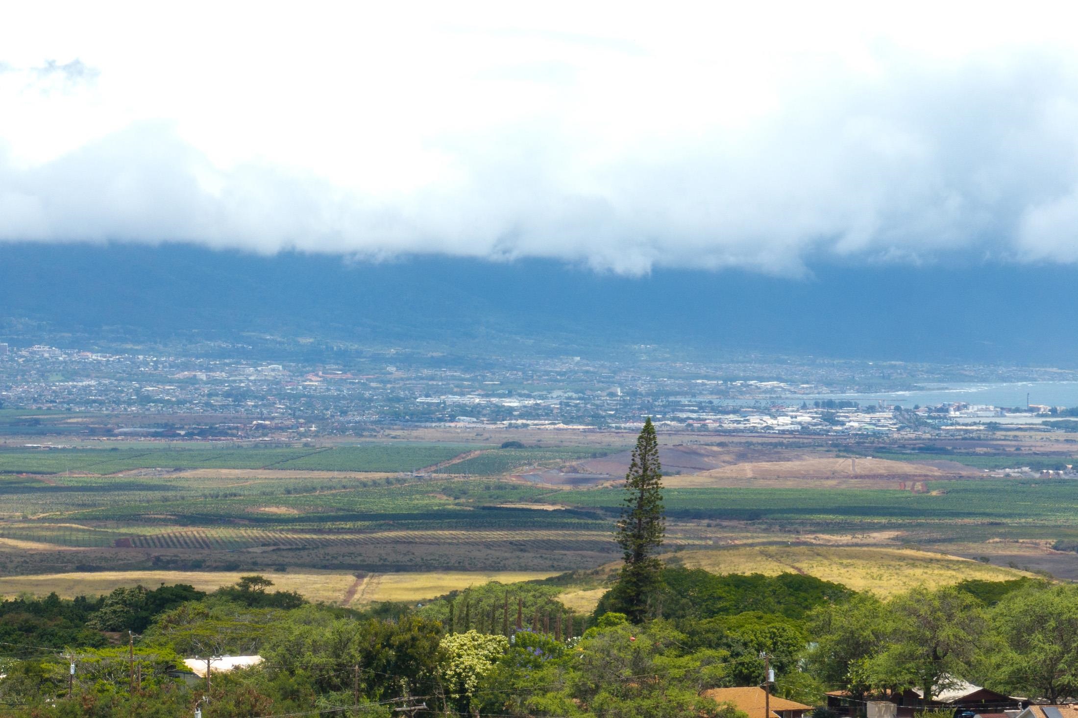 Omaopio Road Kula, HI 96790 - Photo 20 of 31 Gallery Image 20