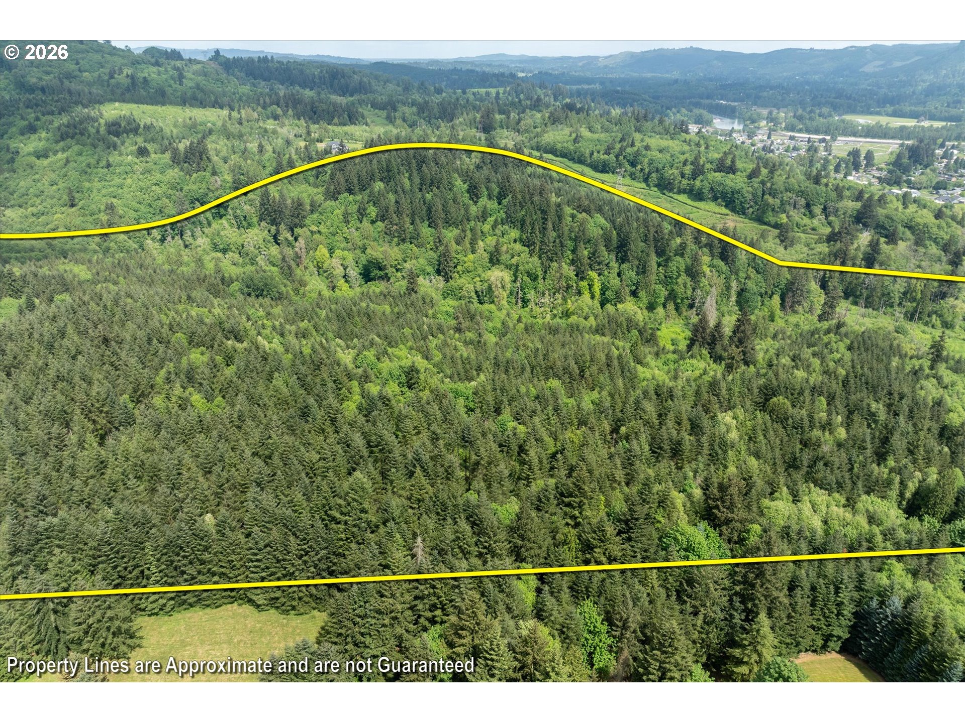 145 Talkeetna Heights Road Longview, WA 98632 - Photo 46 of 48 View