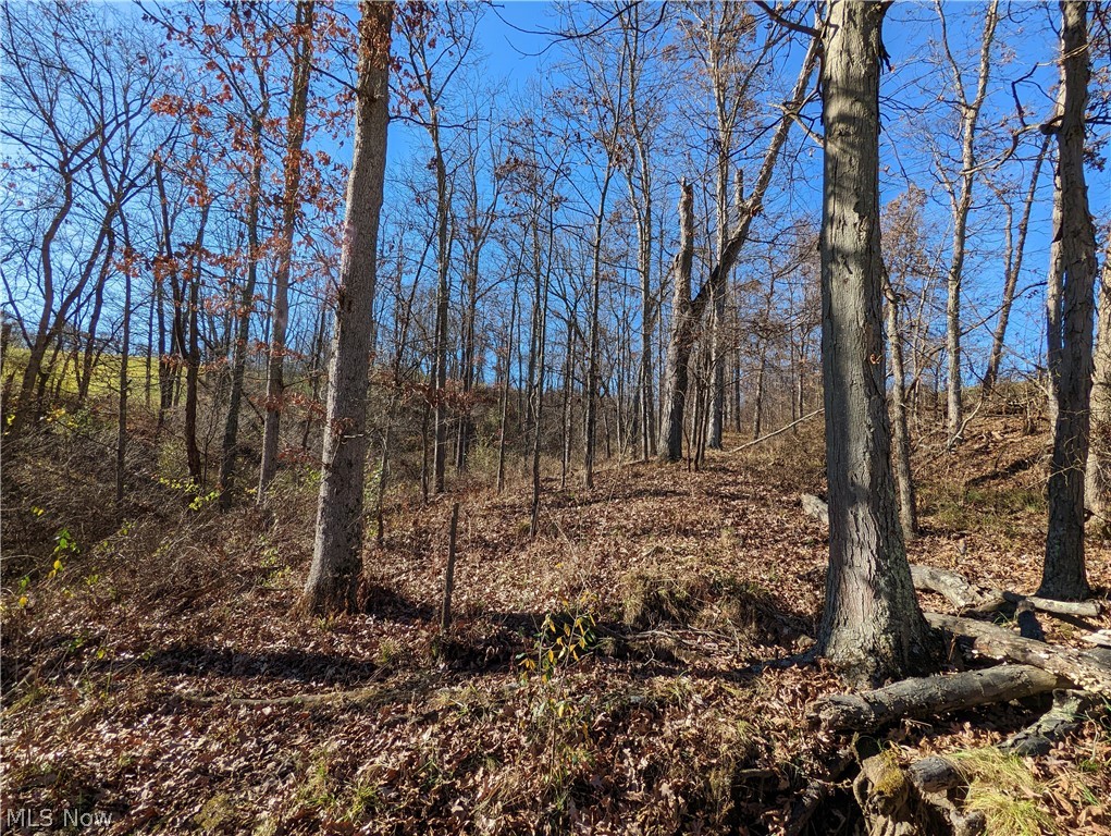 6 County Road Tippecanoe, OH 44699 - Photo 20 of 28 Gallery Image 20