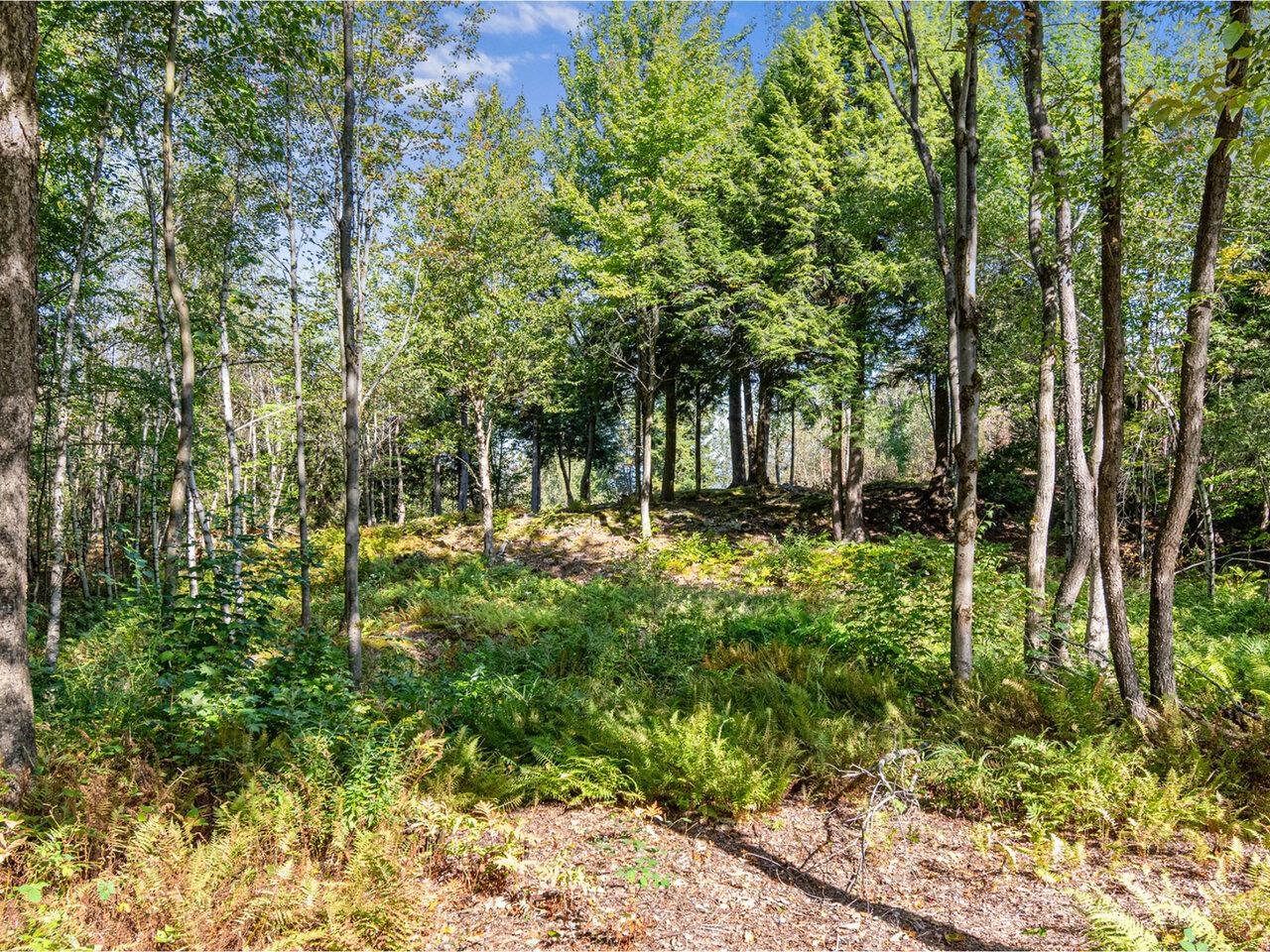 805 Deming Road Enosburg Falls, VT 05450 - Photo 50 of 58