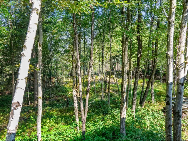 $529,000 | 805 Deming Road, Enosburg Falls, VT 05450