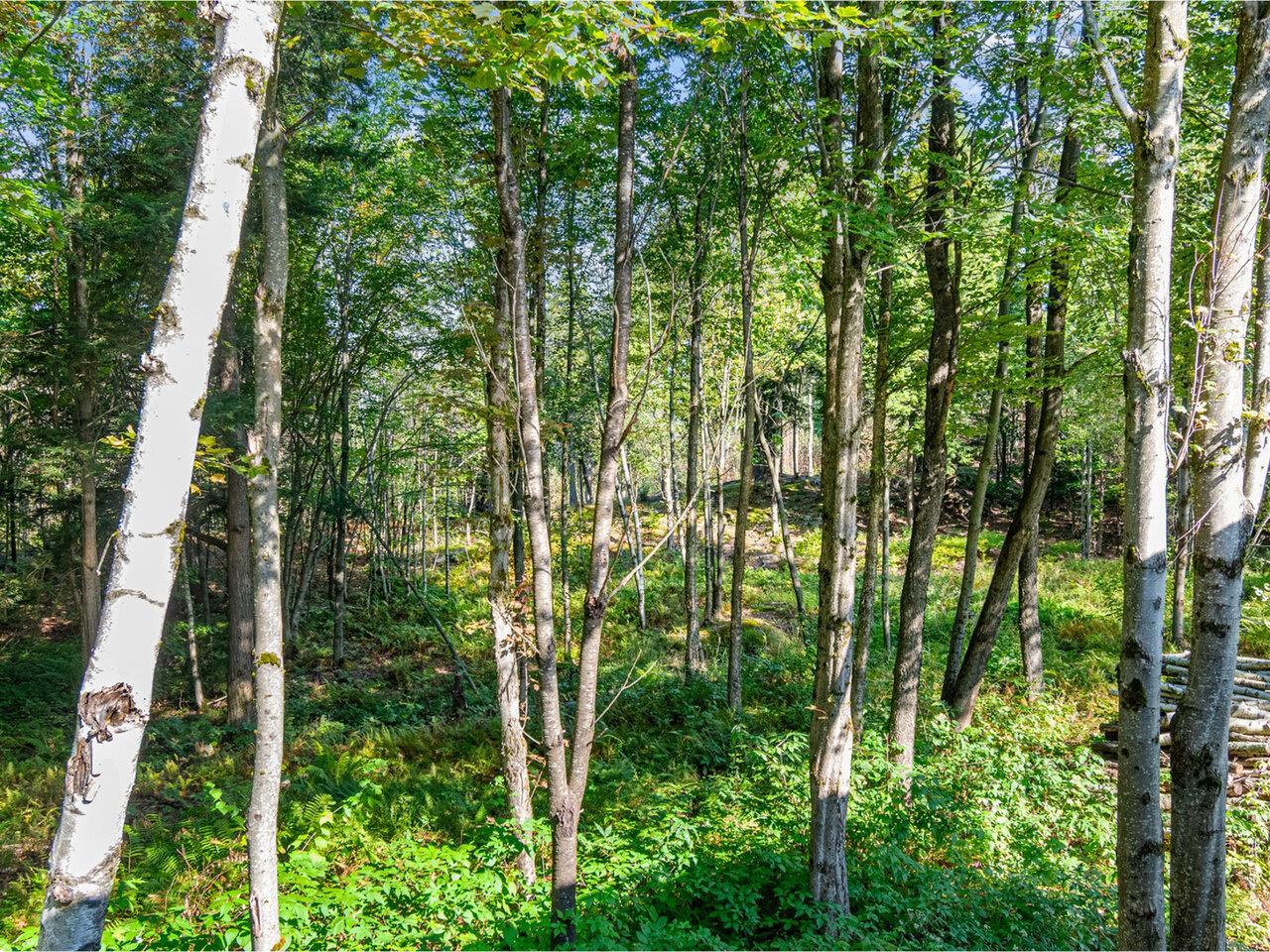 805 Deming Road Enosburg Falls, VT 05450 - Photo 51 of 58