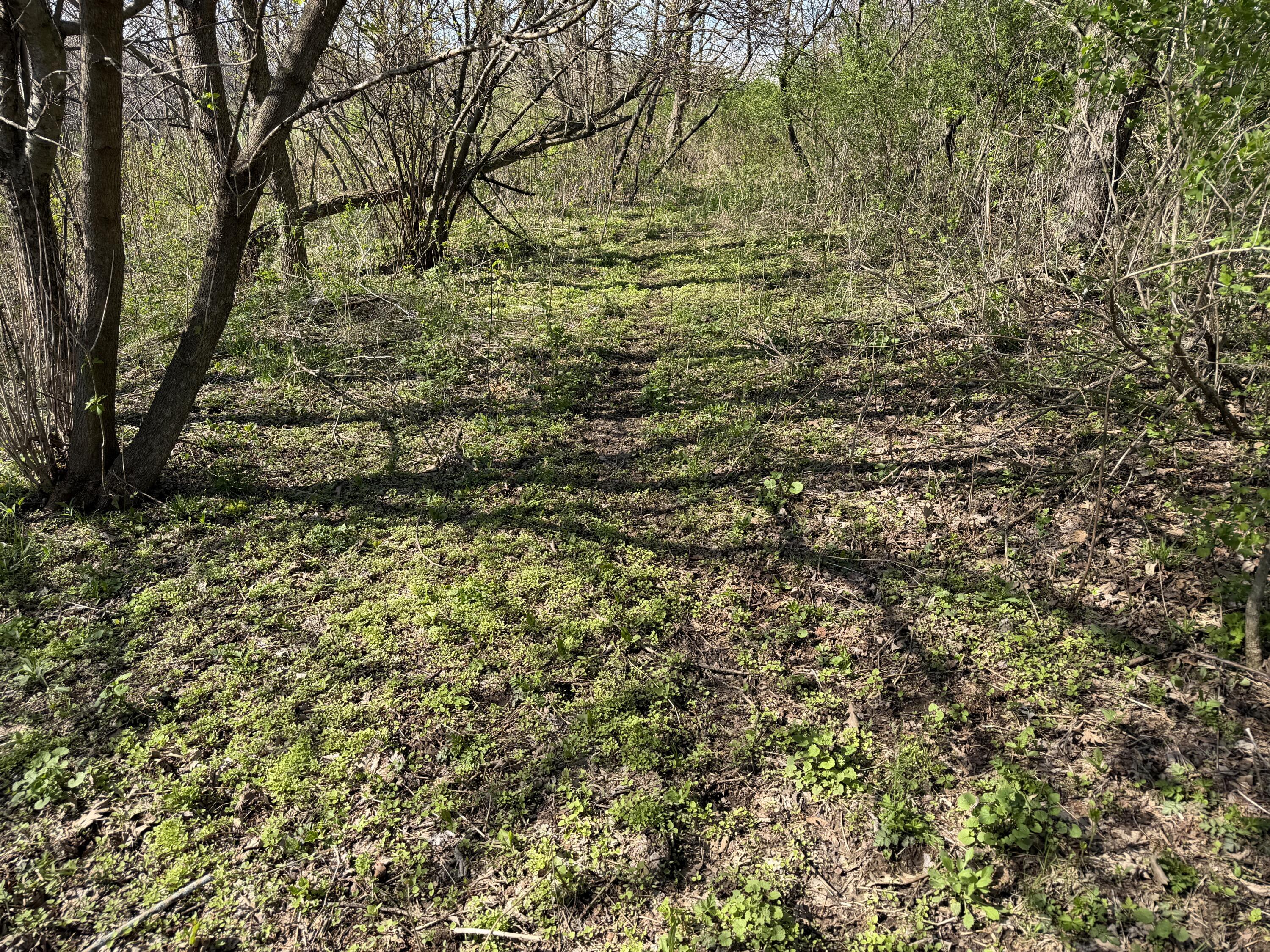 16955 North Frank Road Clayton, WI 54631 - Photo 17 of 37 Deer Trails