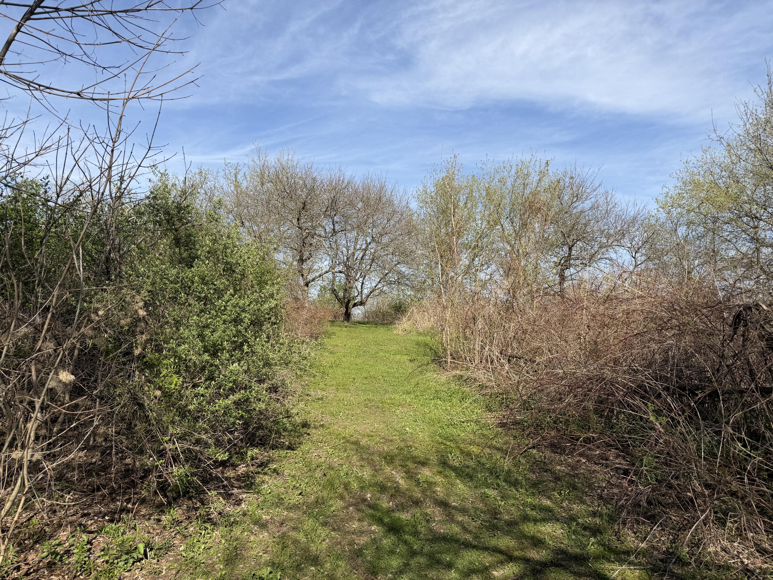 16955 North Frank Road Clayton, WI 54631 - Photo 35 of 37 20260421_212407746_iOS