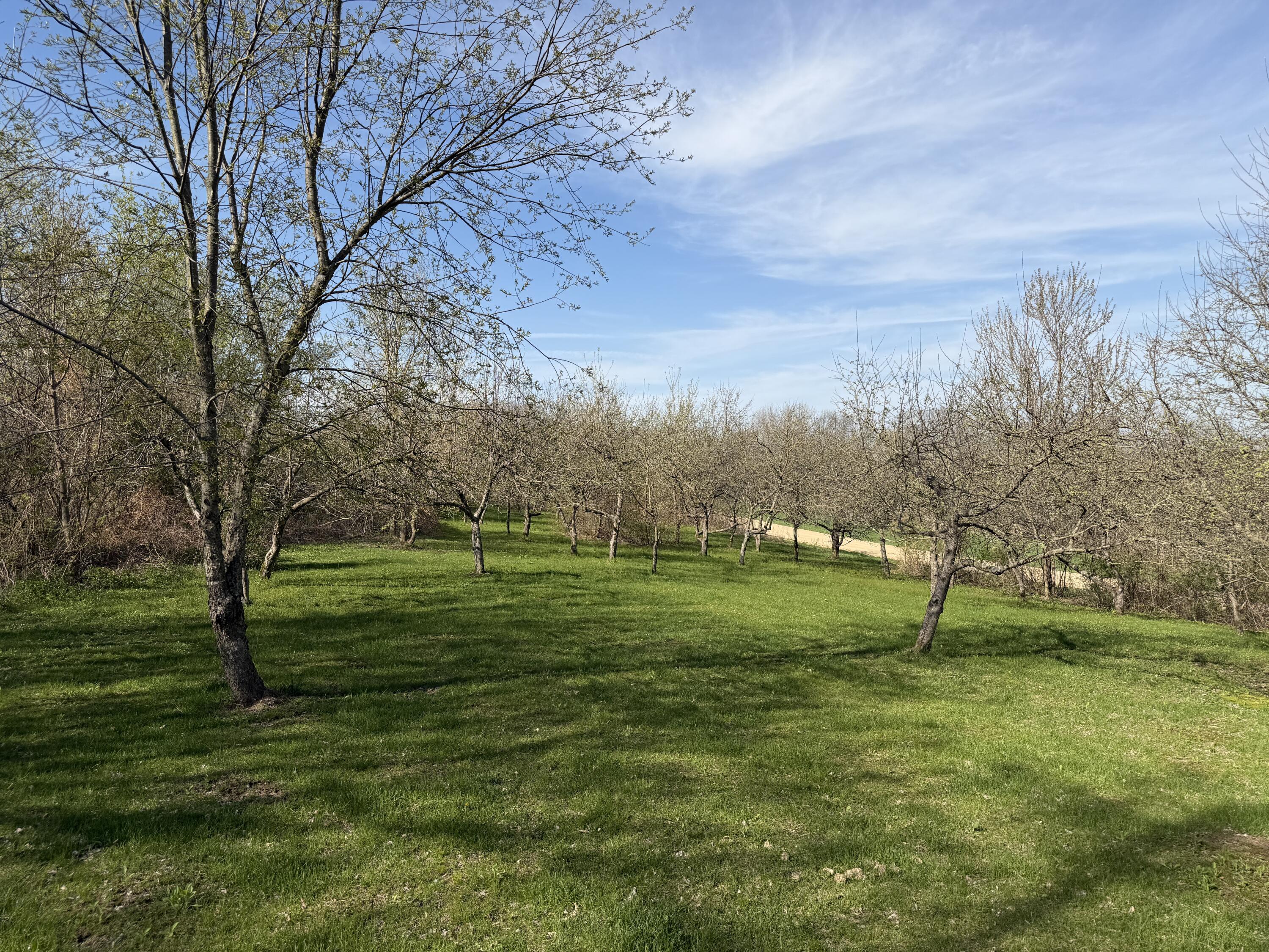 16955 North Frank Road Clayton, WI 54631 - Photo 36 of 37 Many Many Apple Trees