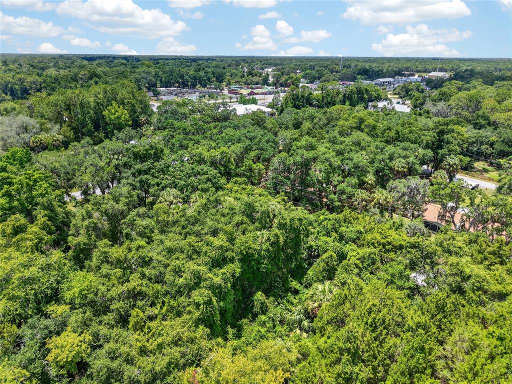 0 Southwest Palm Point Inglis, FL 34449 - Photo 8 of 8