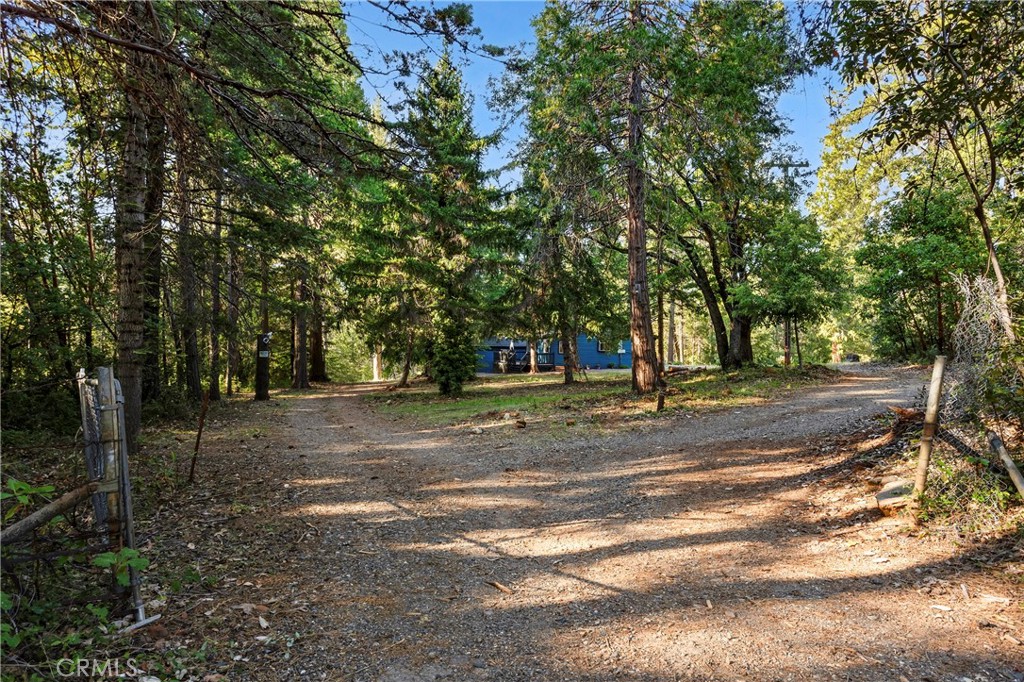 3353 Forbestown Road Oroville, CA 95966 - Photo 31 of 44