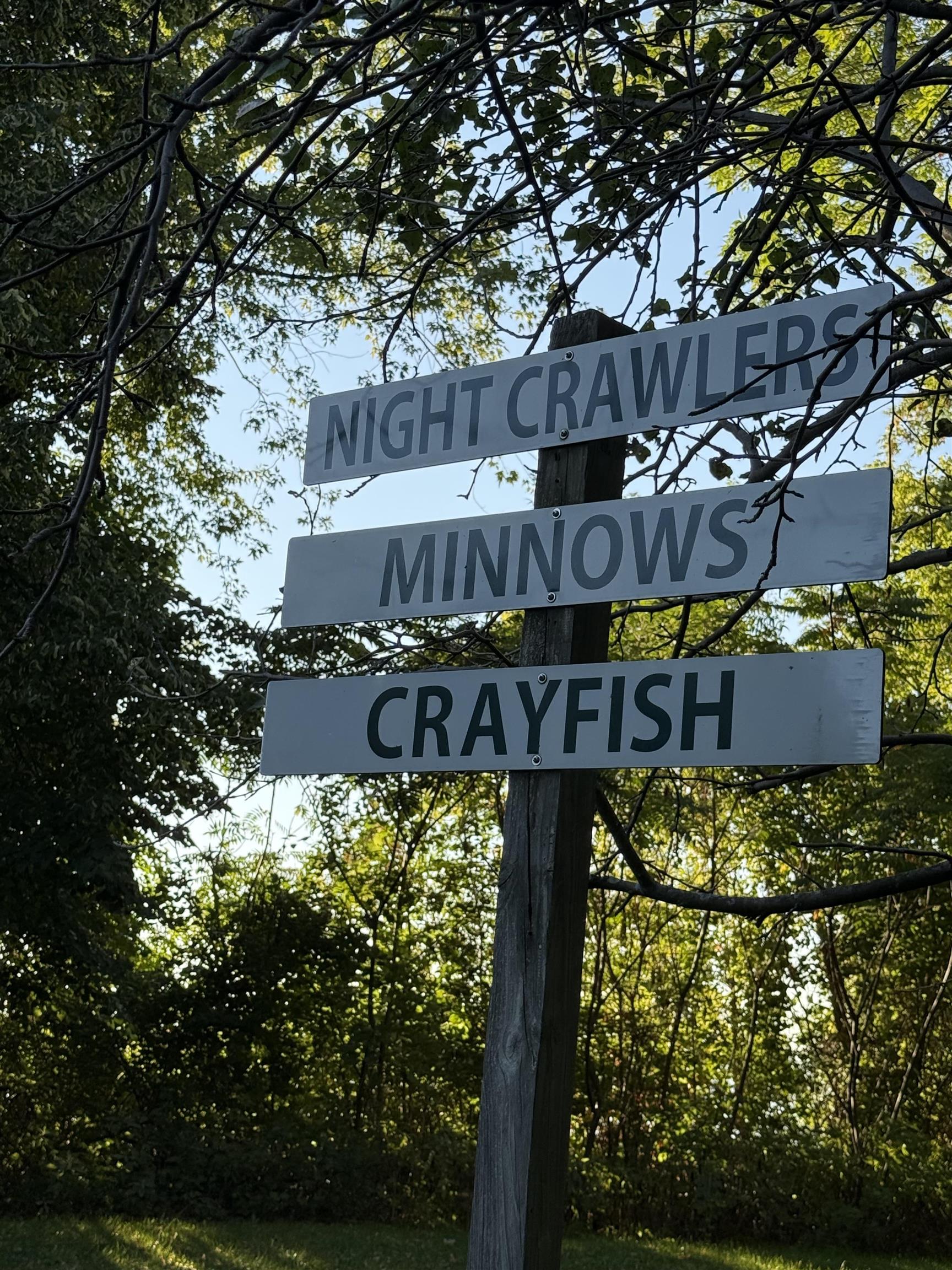 3181 North Avenue Burlington, VT 05408 - Photo 4 of 40