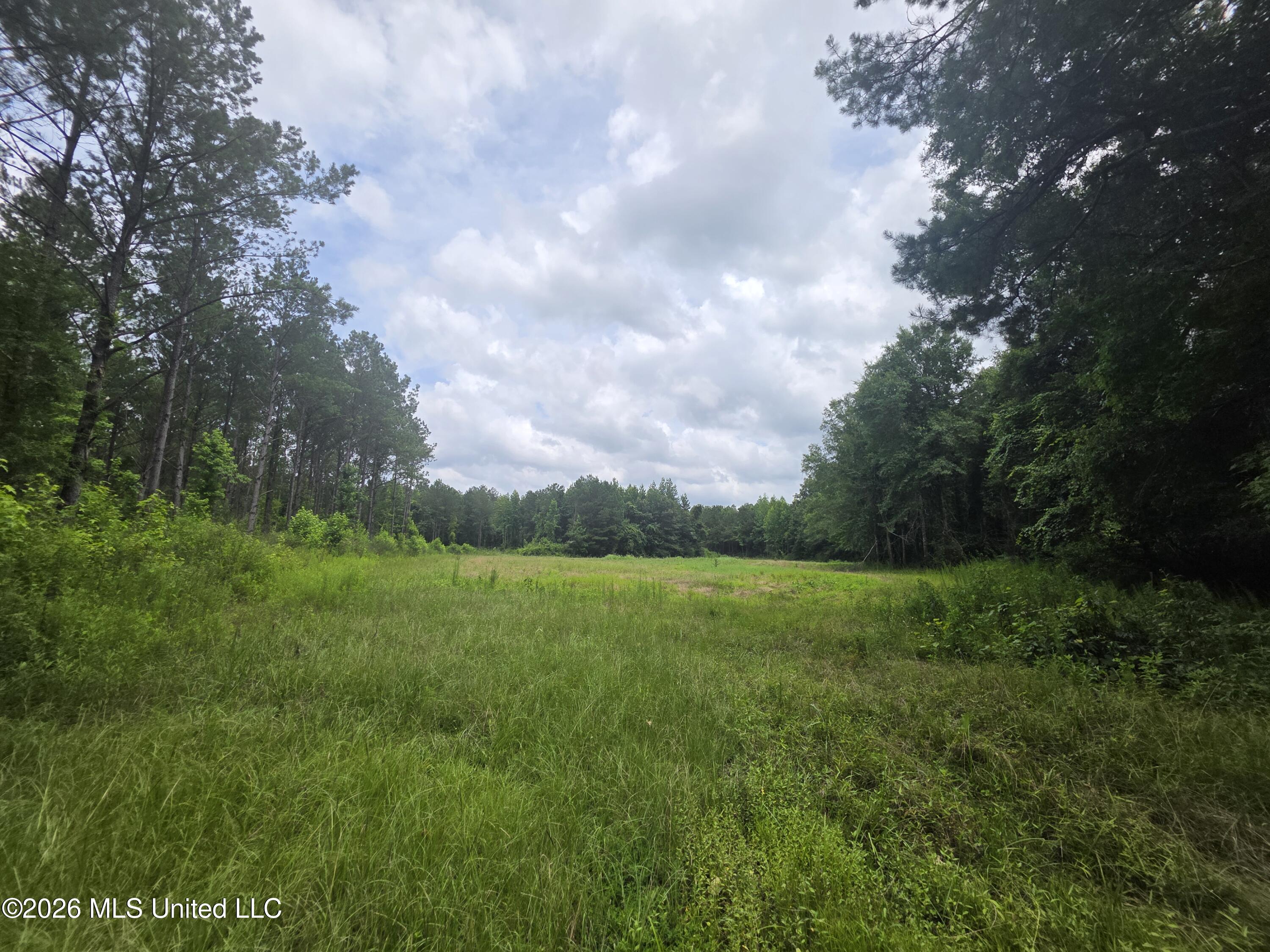244 Foster Road Sontag, MS 39665 - Photo 52 of 105 35579