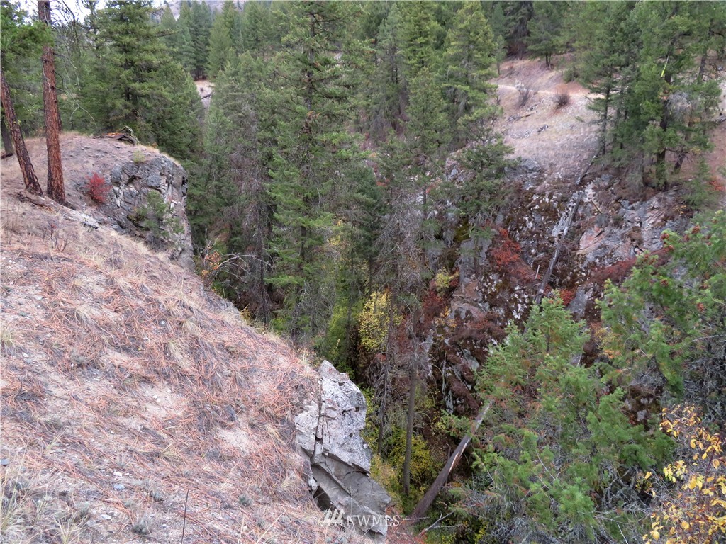 -gvt Lot Gvt Road Curlew, WA 99118 - Photo 14 of 15 Gallery Image 14