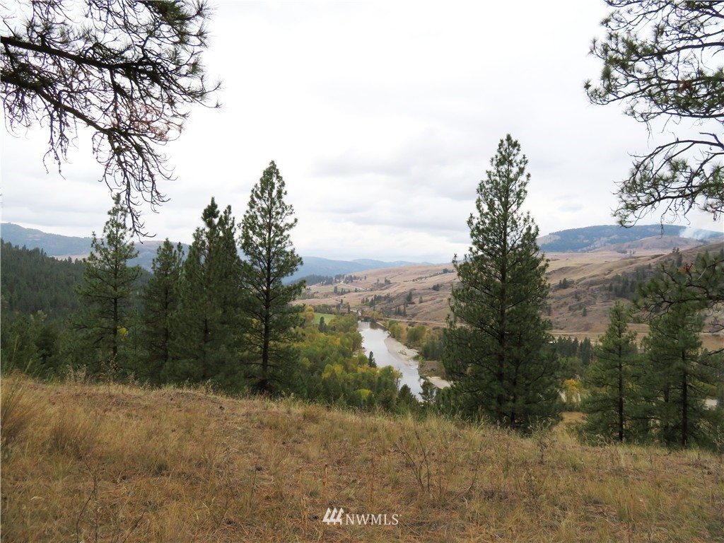 -gvt Lot Gvt Road Curlew, WA 99118 - Photo 3 of 15 Gallery Image 3