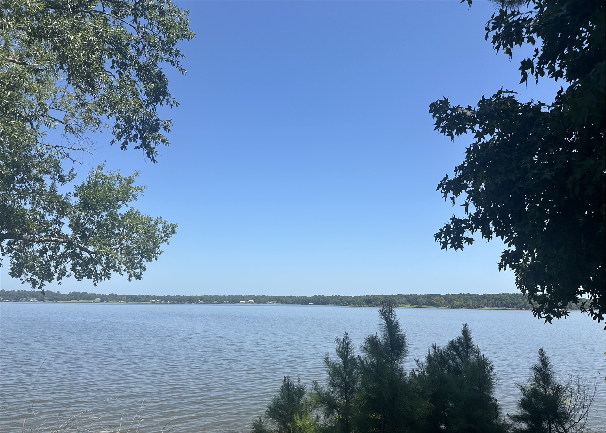 729 Lake Shore Drive Trinity, TX 75862 - Photo 28 of 38 a view of lake and mountain