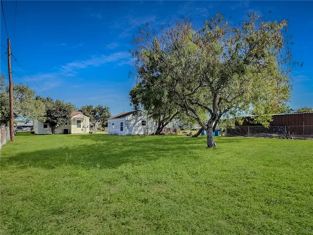 a view of a field with large trees