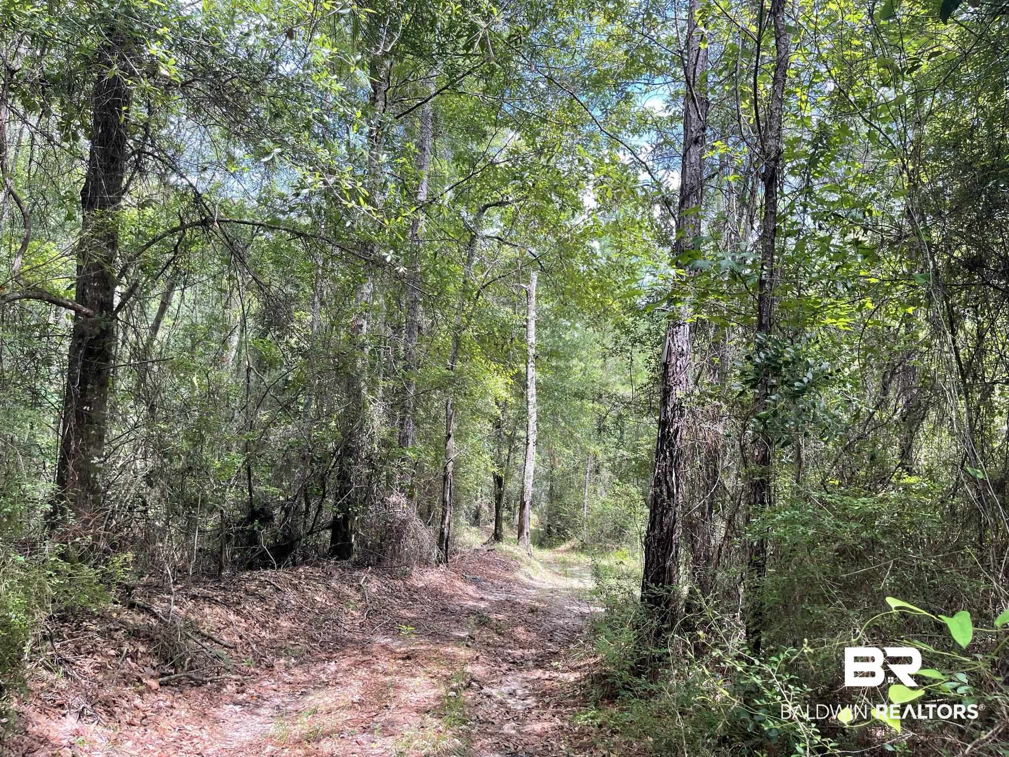 0 County Road 11 Wing, AL 36483 - Photo 22 of 37
