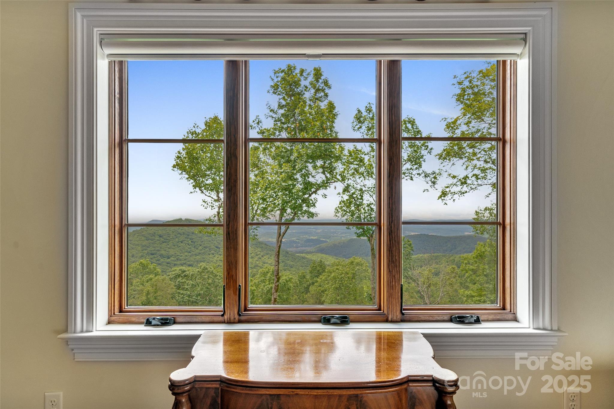 278 North Snow Ridge Drive Fairview, NC 28730 - Photo 30 of 48 a view of a window and a room with window