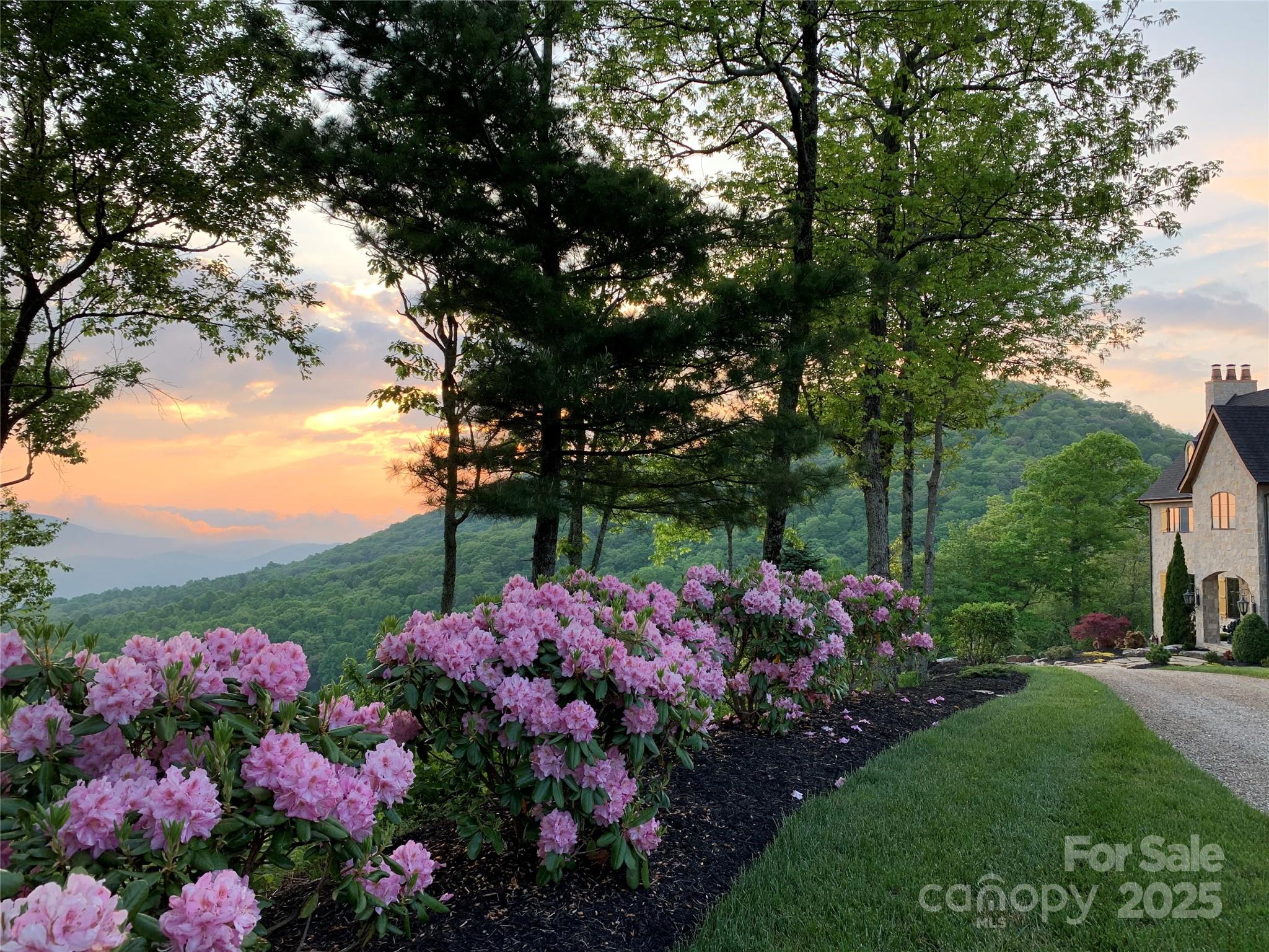 278 North Snow Ridge Drive Fairview, NC 28730 - Photo 45 of 48 a view of a flower in a garden
