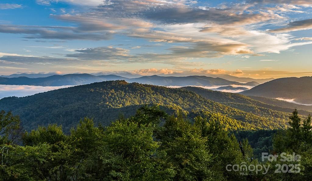 278 North Snow Ridge Drive Fairview, NC 28730 - Photo 48 of 48 a view of a city with mountains in the background