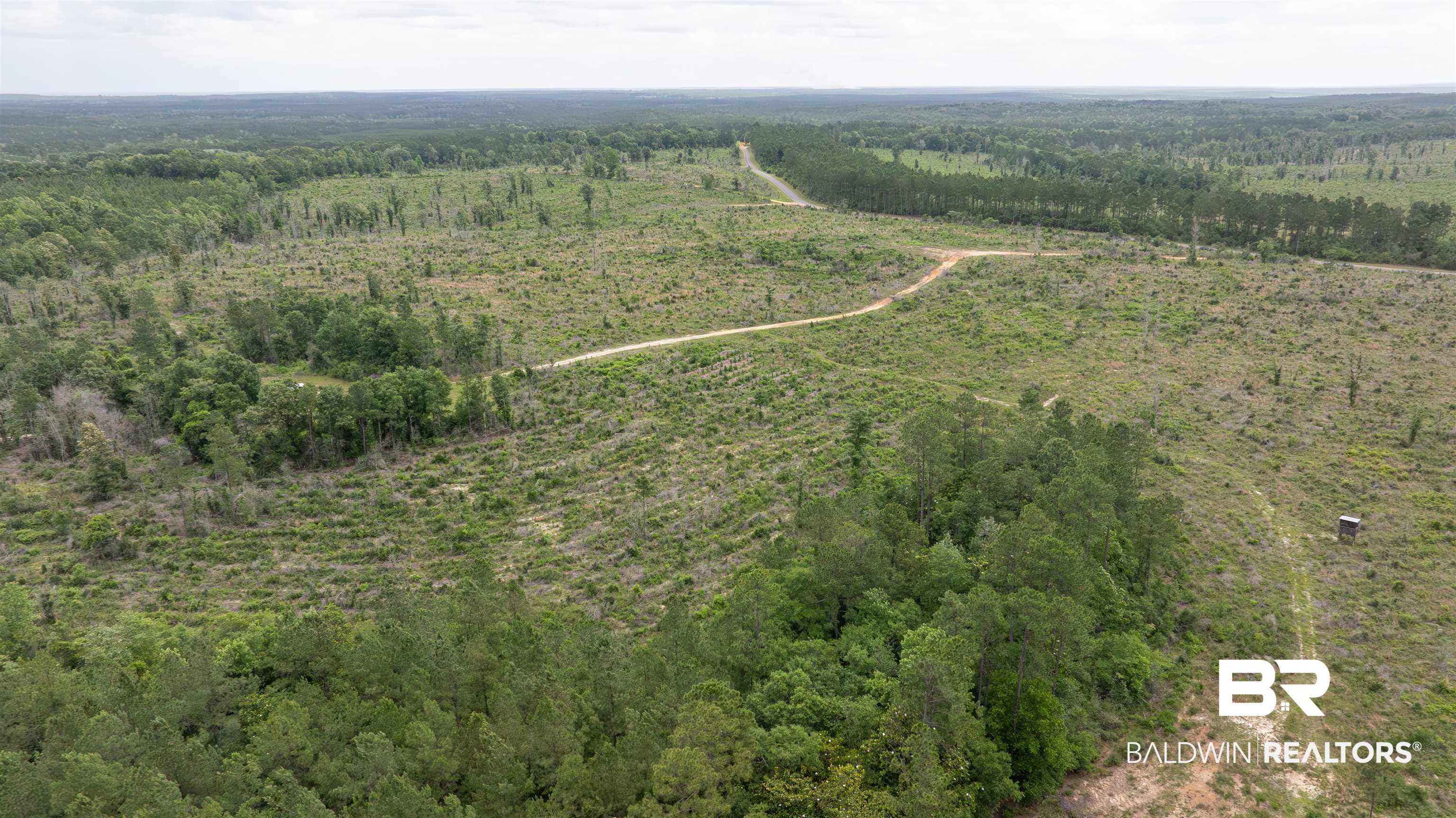 0 Phillips Road Stapleton, AL 36578 - Photo 10 of 13