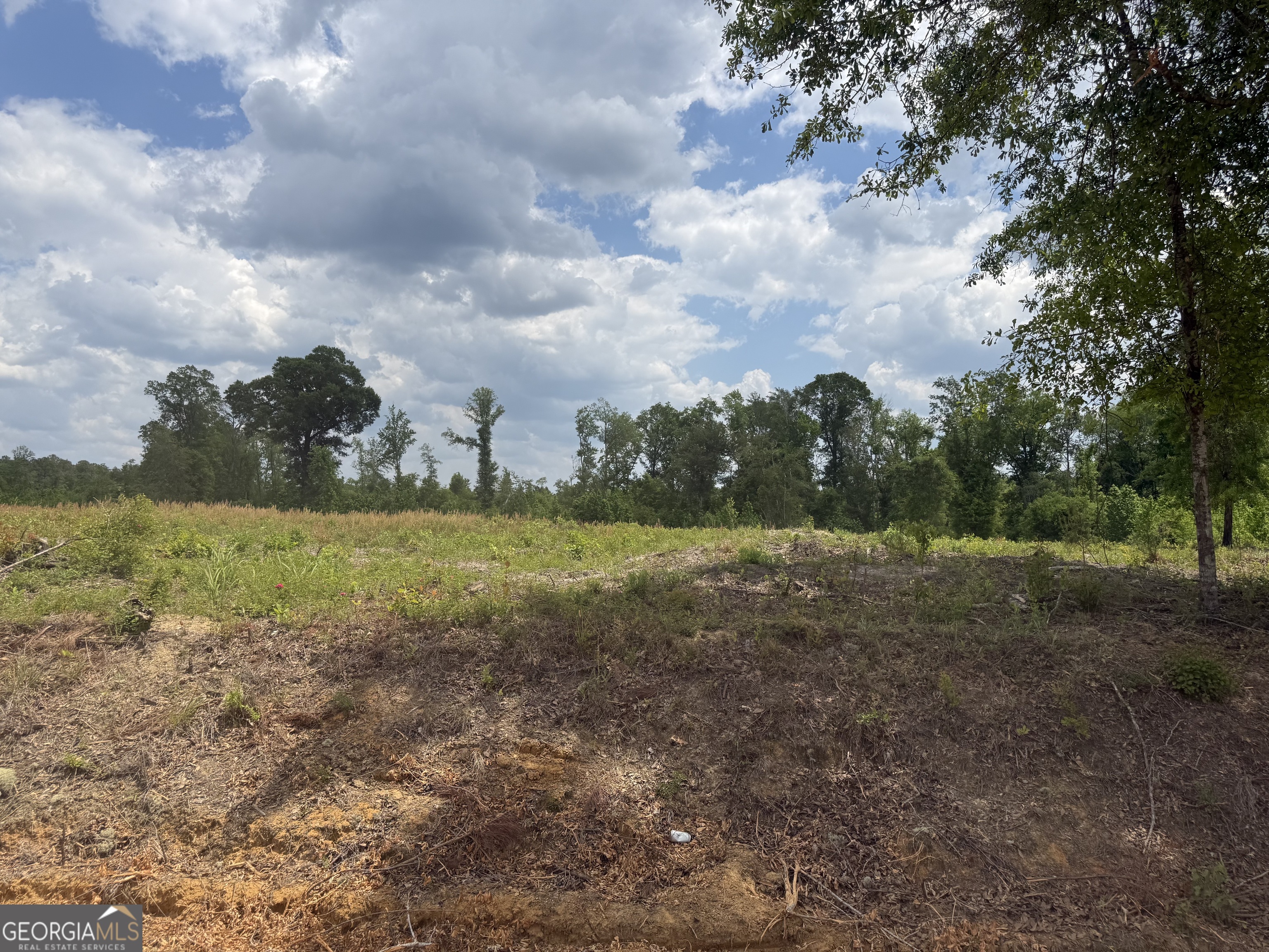 0 J D Williams Road Cadwell, GA 31009 - Photo 2 of 5 a view of outdoor space with city view