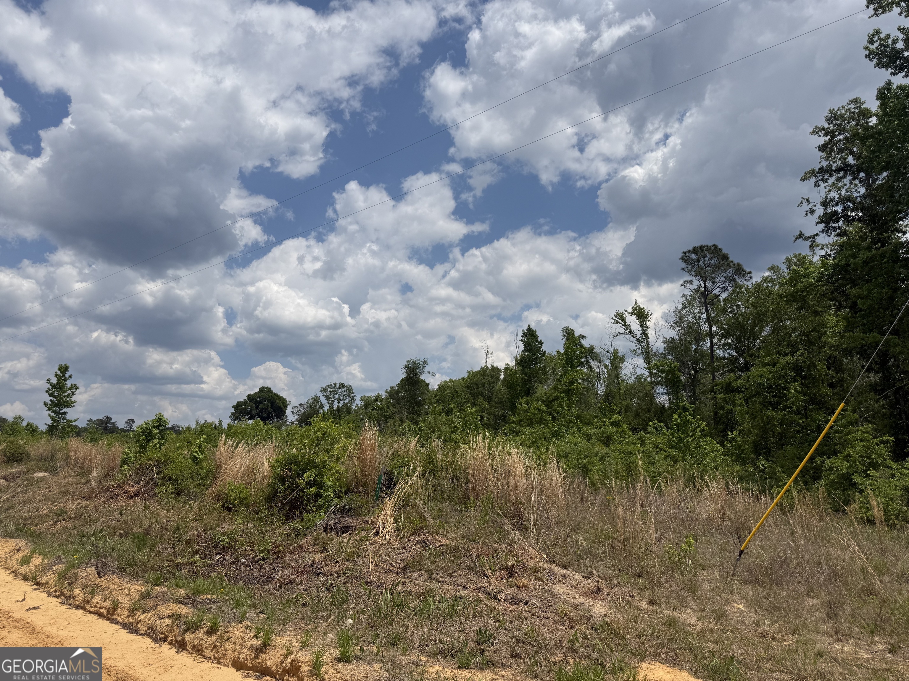 0 J D Williams Road Cadwell, GA 31009 - Photo 4 of 5 a view of a lake