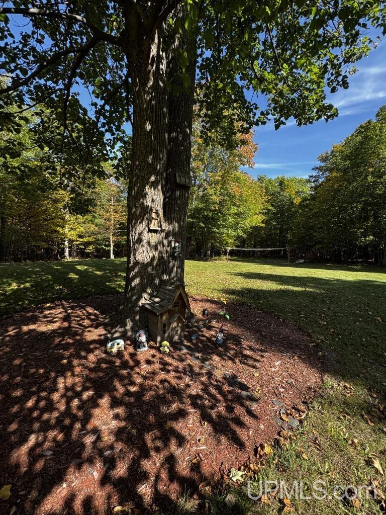 17299 Pinery Road Lanse, MI 49946 - Photo 47 of 65