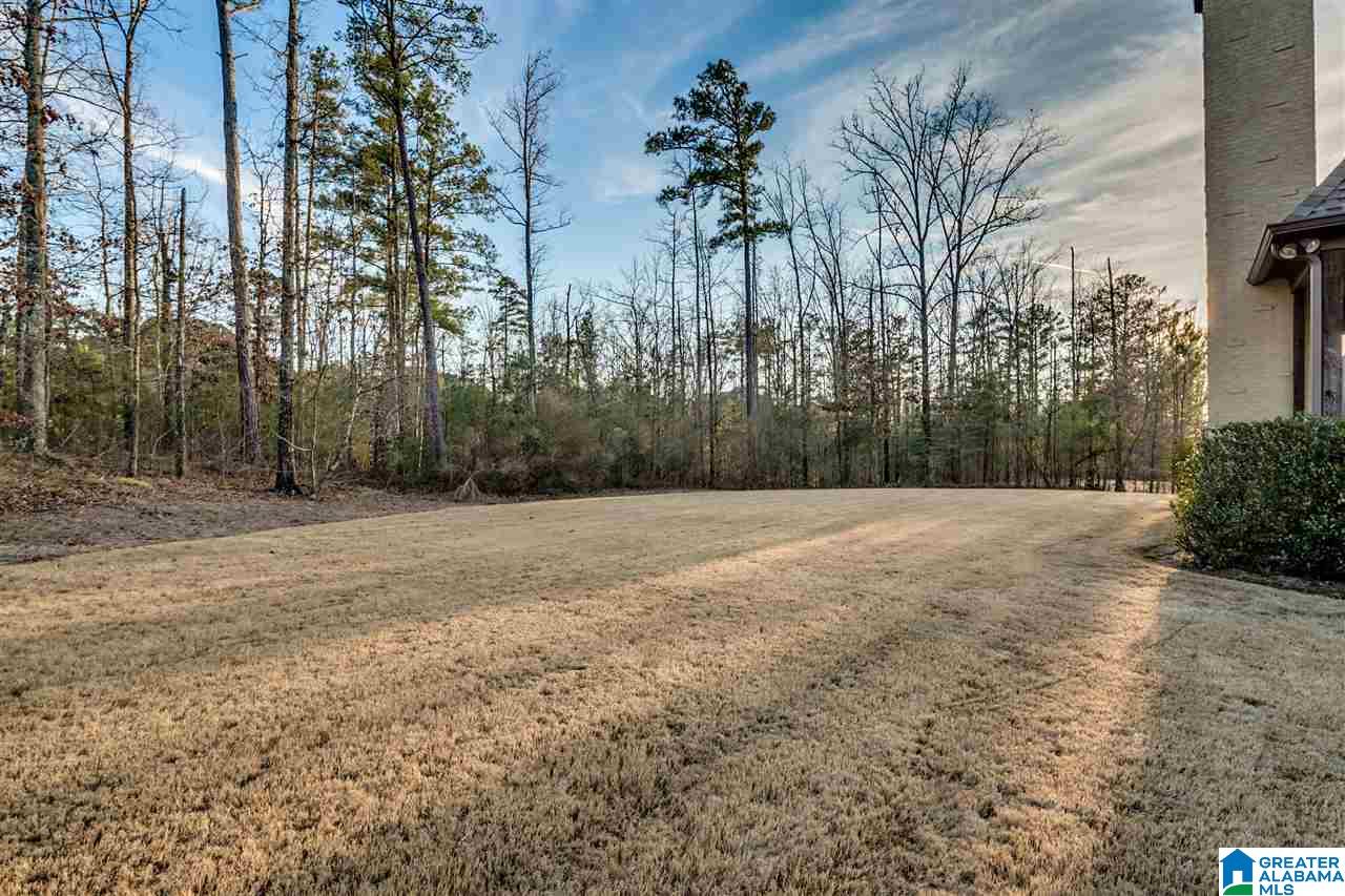 4353 Kings Mountain Ridge Birmingham, AL 35242 - Photo 48 of 49