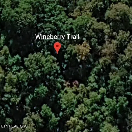 $45,000 | Wineberry Trail, Ewing, VA 24248