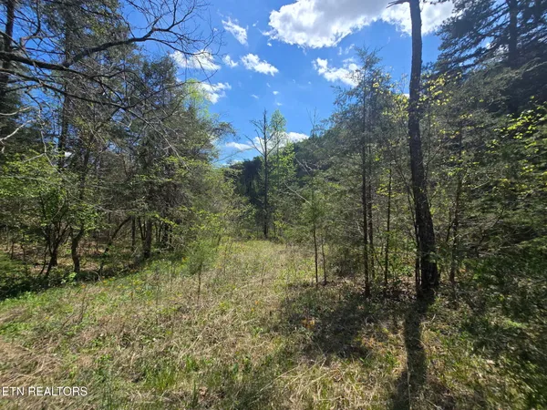 $45,000 | Wineberry Trail, Ewing, VA 24248