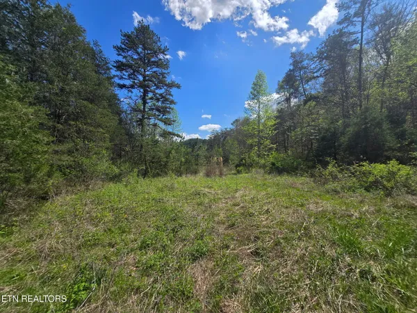 $45,000 | Wineberry Trail, Ewing, VA 24248