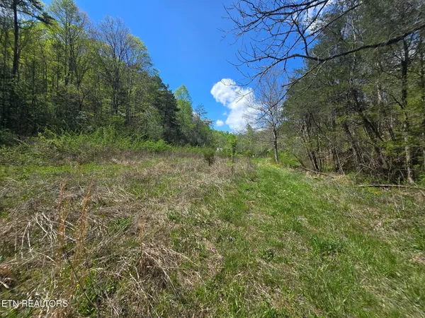 $45,000 | Wineberry Trail, Ewing, VA 24248