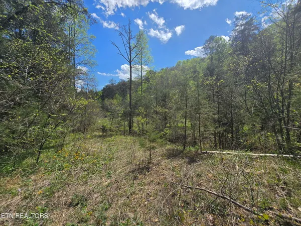 $45,000 | Wineberry Trail, Ewing, VA 24248