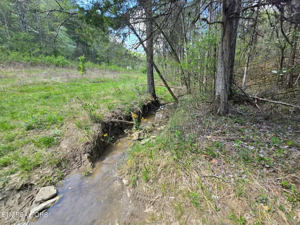 $45,000 | Wineberry Trail, Ewing, VA 24248