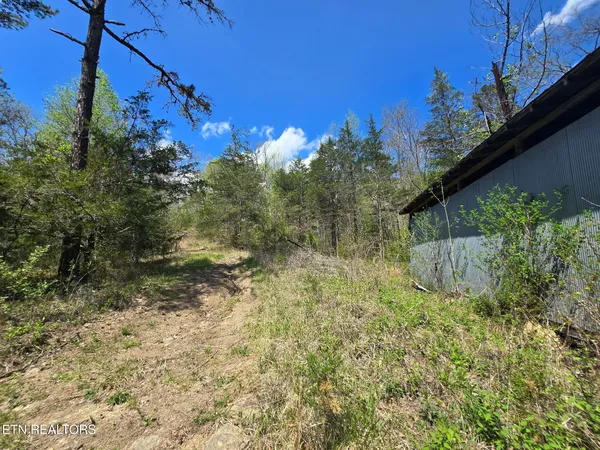 $45,000 | Wineberry Trail, Ewing, VA 24248