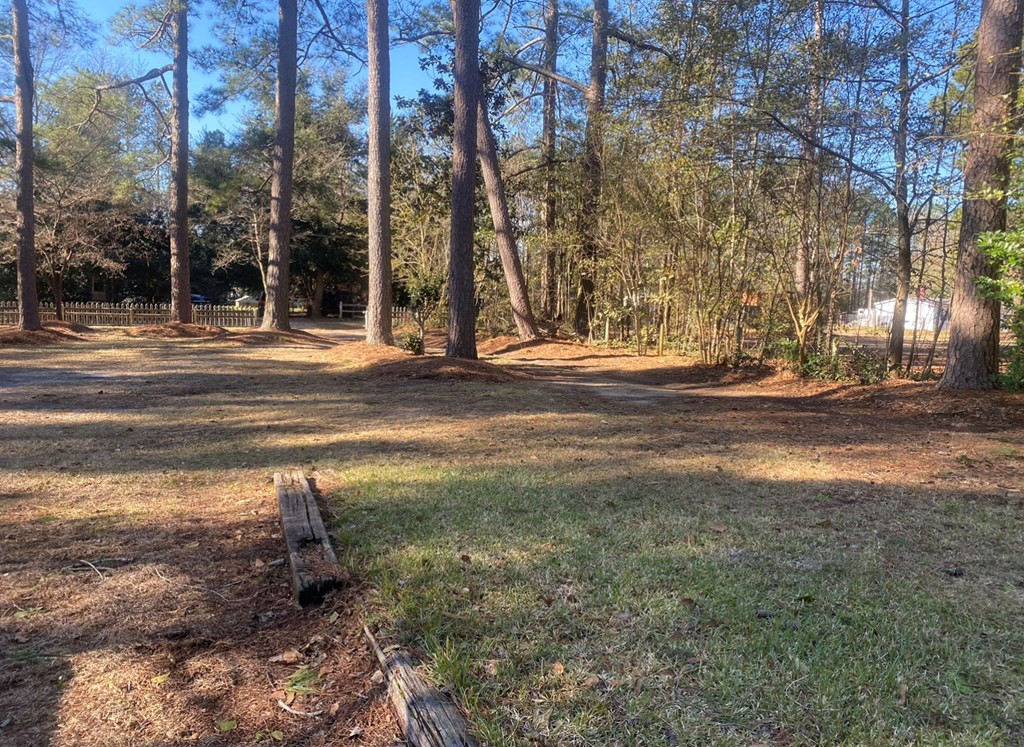 122 Retha Road Orangeburg, SC 29115 - Photo 13 of 15 Photo 13