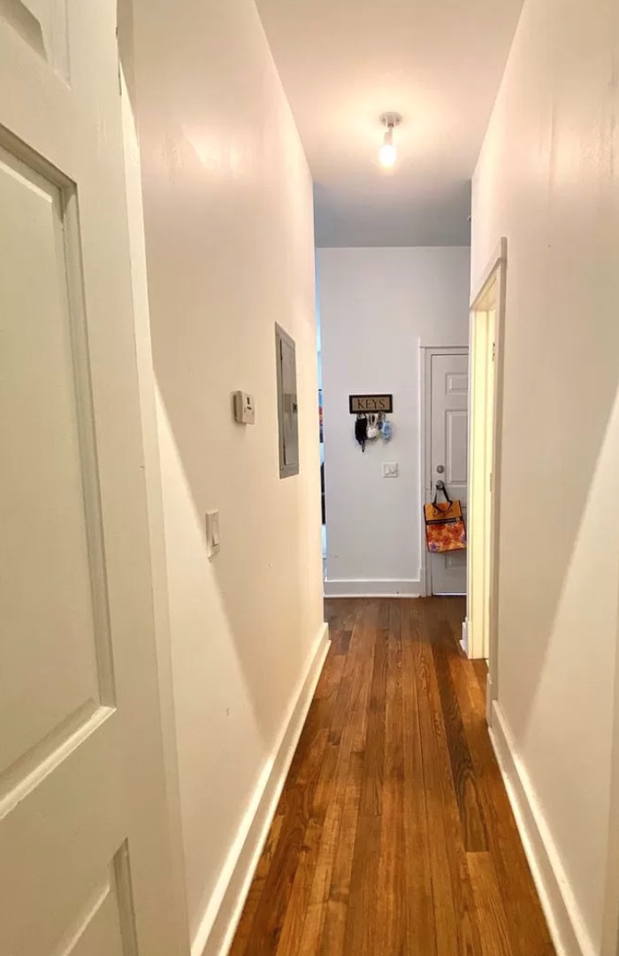 1820 South Throop Street, Unit 1F Chicago, IL 60608 - Photo 6 of 14