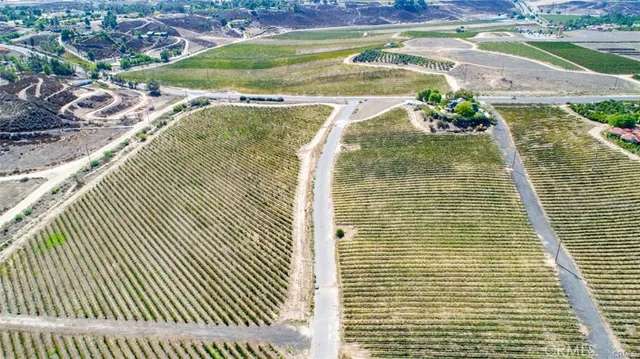 a view of a yard with a trees