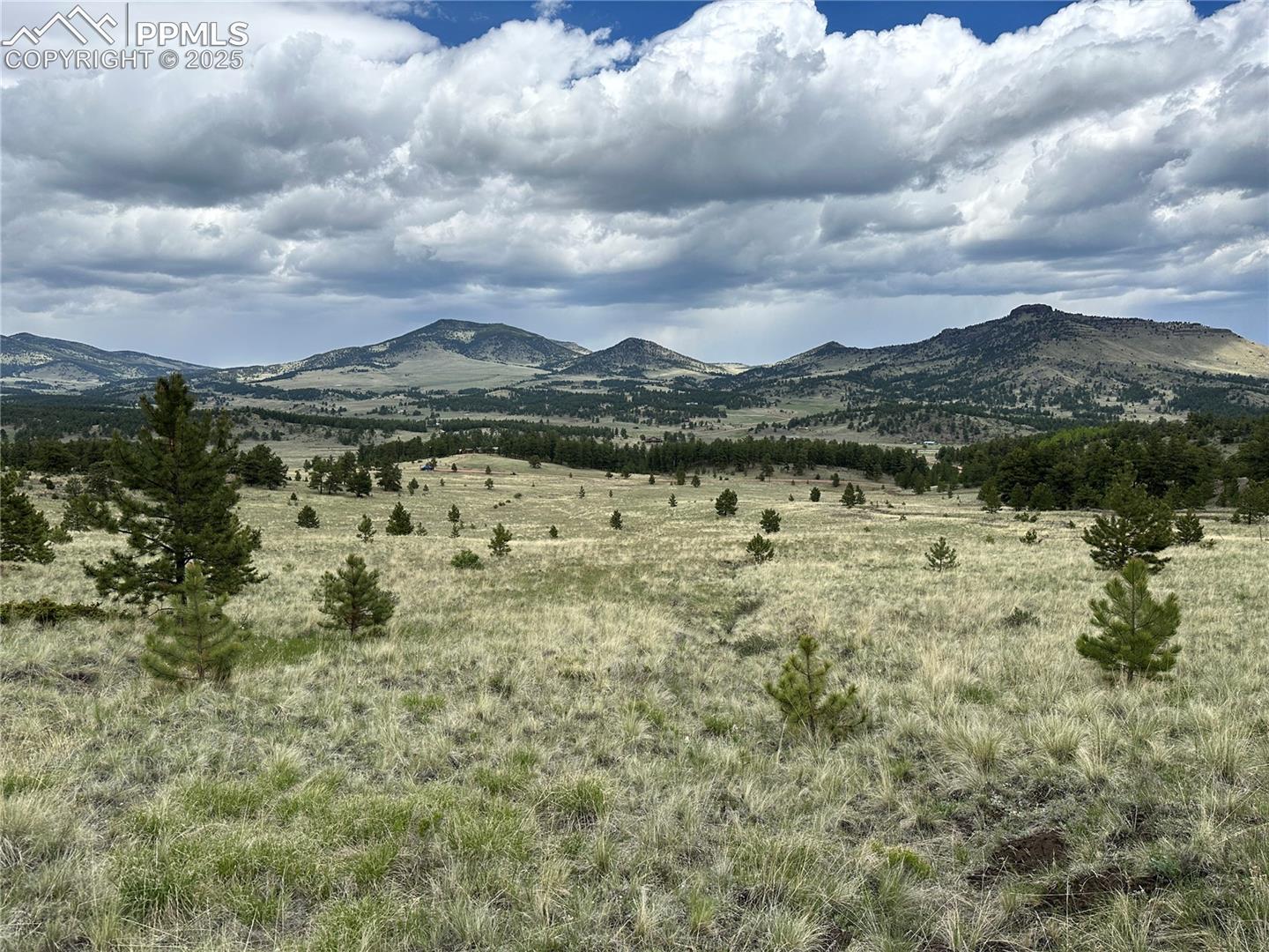 706 Bristlecone Road Guffey, CO 80820 - Photo 1 of 6 View of mountain background with rural landscape
